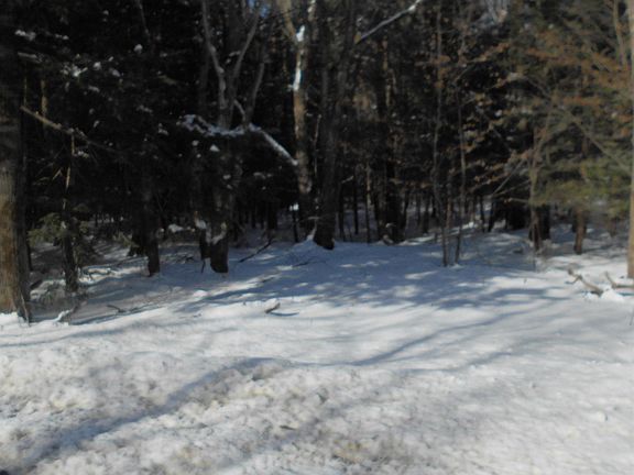 4th image of Davenport Rd