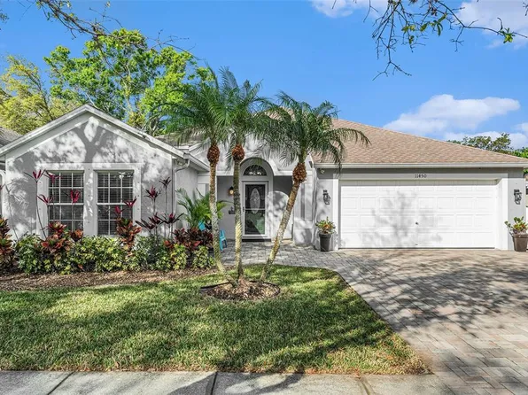 11450 CYPRESS PARK STREET, TAMPA, FL 33624