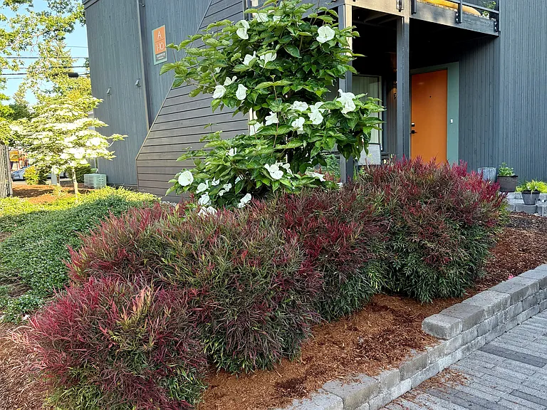 Timberwood Apartments — Photo 13