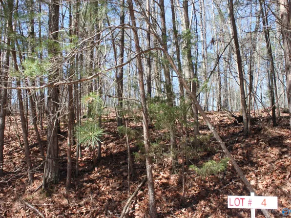LOT 4 Hickory Ln, Valley Head, AL 35989