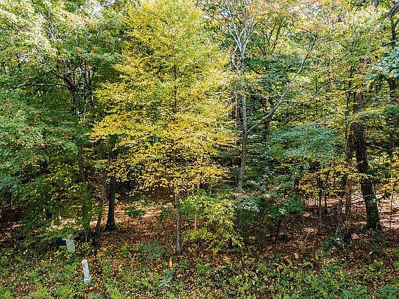 5th image of LOT 78 Shamokin Springs Trl