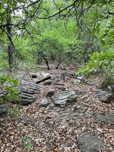 Pigg Rd, Bowie, TX, 76230
