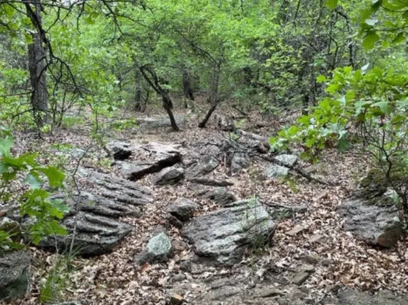 Pigg Rd, Bowie, TX 76230