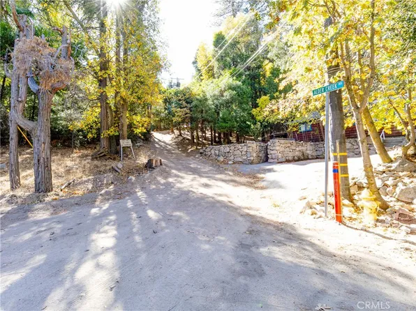 0 Alder Creek Rd #91, Cedarpines Park, CA 92322