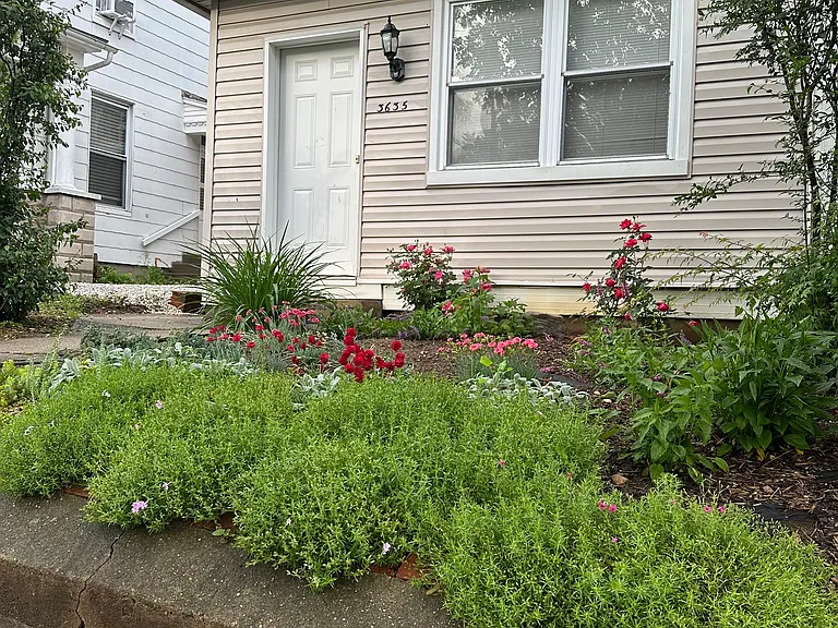 Front Yard