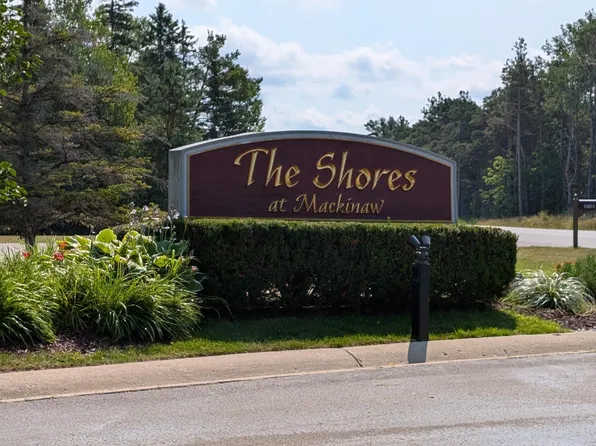 20532 Northern Lights Ln, Mackinaw City, MI 49701