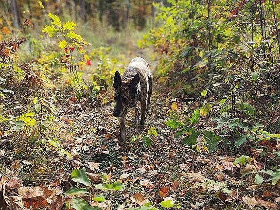 3rd image of 0 W Lily Lake Rd