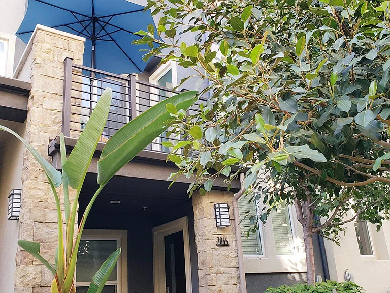 7855 Modern Oasis Dr — Photo 18