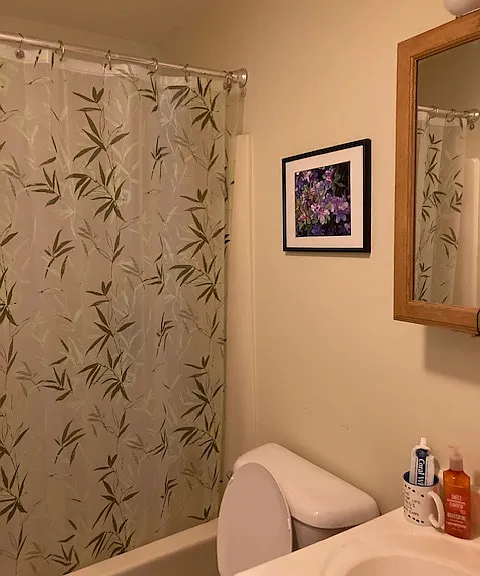 250A Spring Cir #303 — Photo 5