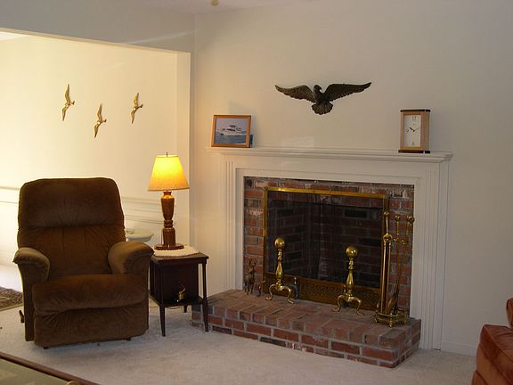 Wood burning fireplace