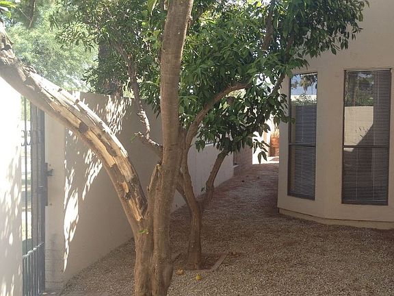 4th image of 9115 N 86th Way