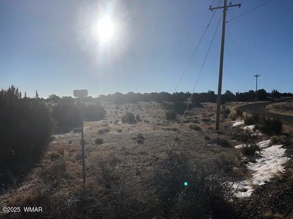 205 Windor Valley Rnch, Concho, AZ 85924