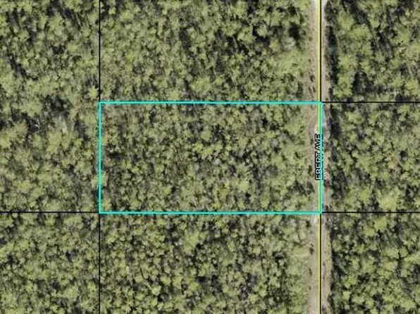 Ebert Avenue Lot #261, Hastings, FL 32145