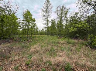 303 Mother Lode Dr, Horseshoe Bend, AR 72512