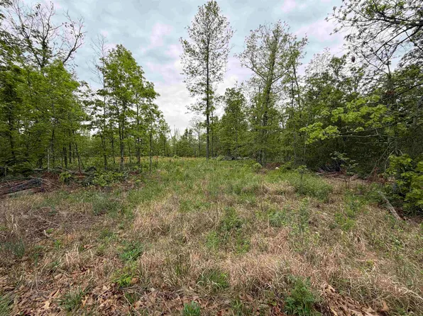 303 Mother Lode Dr, Horseshoe Bend, AR 72512