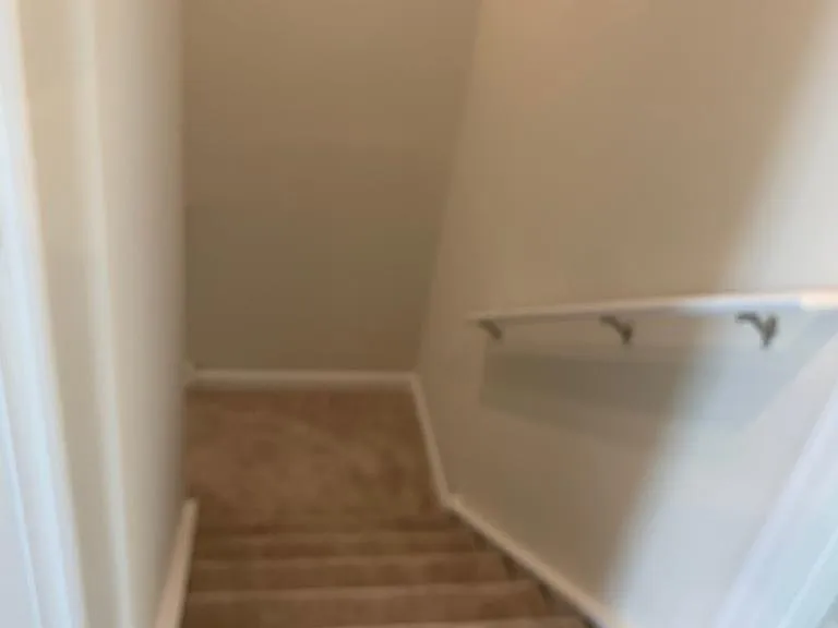409 Comfort Rd — Photo 21
