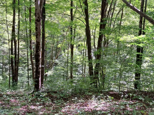 Opal Drive Rr, Belington, WV 26250