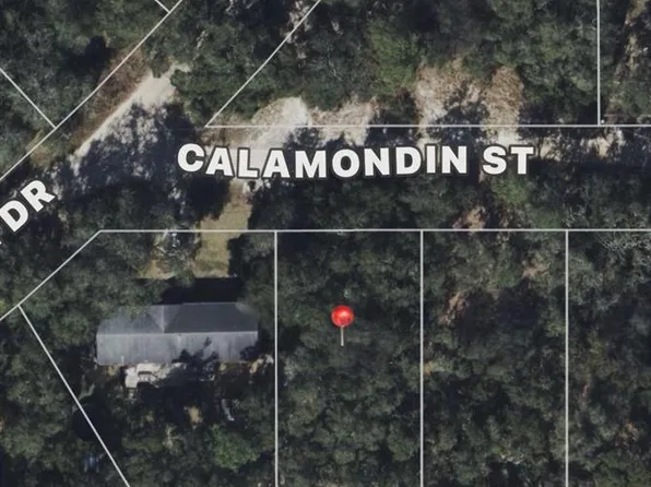 Calamondin St Lot 2, Lady Lake, FL 32159