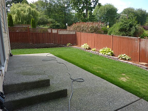 Backyard 1