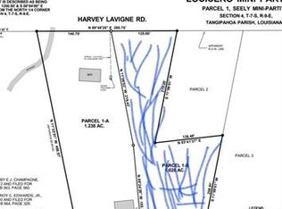 25442 Harvey Lavigne Rd, Ponchatoula, LA 70454