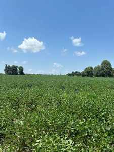 0 Highway 62, Campbell, MO, 63933