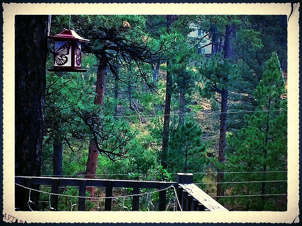 Back deck