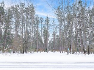 8 V L W 8 Mile Rd, Irons, MI 49644