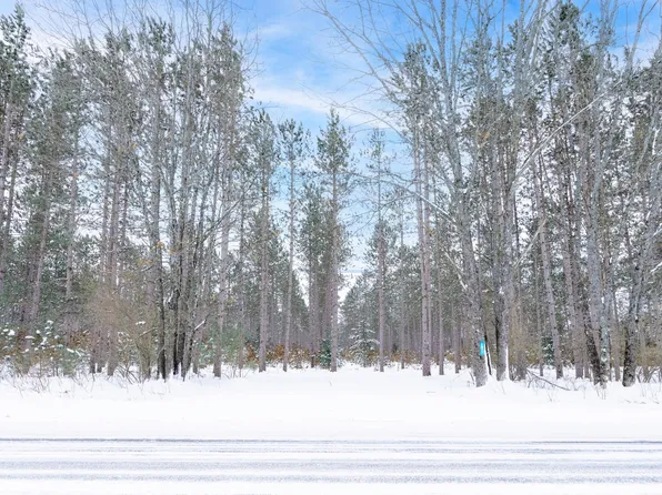 8 V L W 8 Mile Rd, Irons, MI 49644