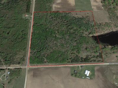 Mud Lake Road 40 Acres, Posen, MI, 49776