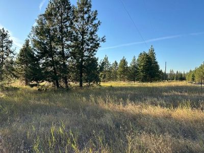 5335 Highway 231 #B, Ford, WA, 99013