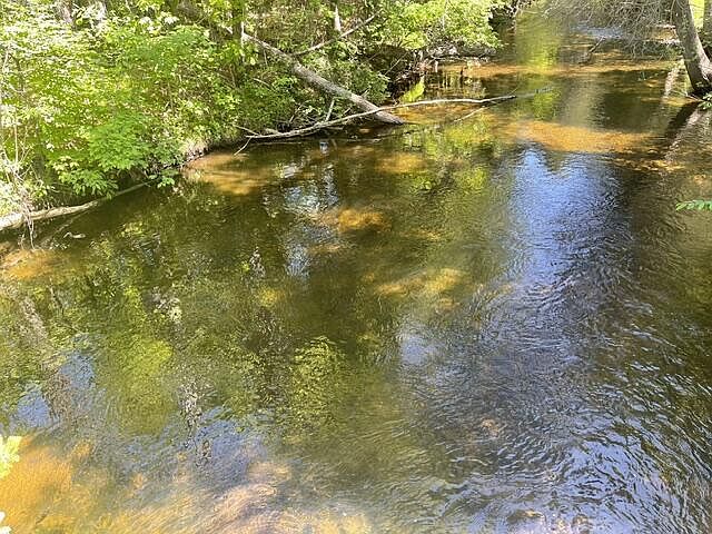 1st image of 15844 MCCASLIN CROSSING LANE