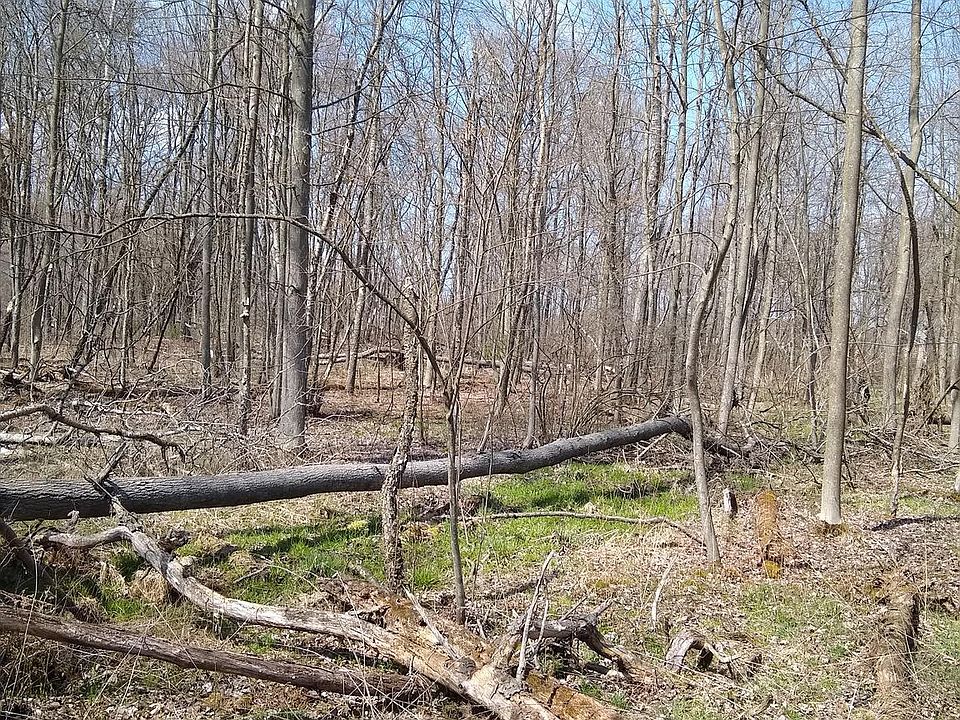 2nd image of 0 Clover St