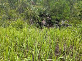 2939 W Seville Dr LOT 6252, Avon Park, FL 33825