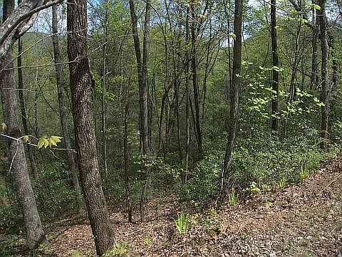 1st image of 5 Woodfen Ln