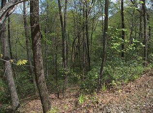 5 Woodfen Ln, Lake Lure, NC 28746