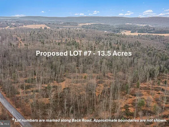 LOT 7 Back Rd S, Barnesville, PA 18214