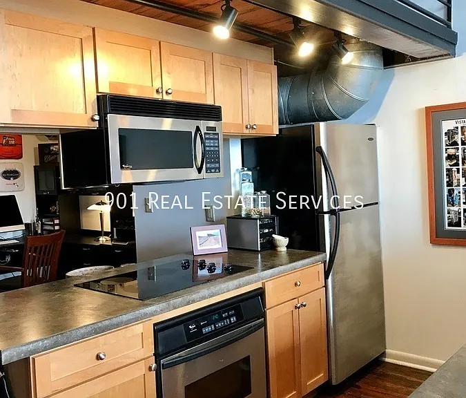 50 Gayoso Ave #301 — Photo 5