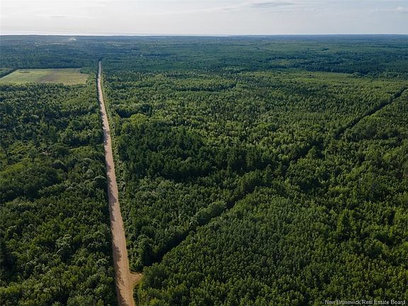 4th image of LOT Brown Rd