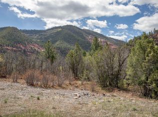 277 Trunk Rd, Placerville, CO 81430