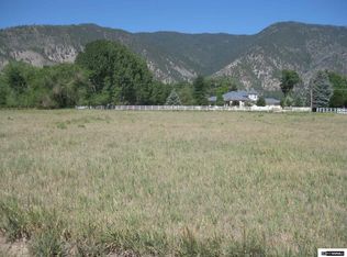 2225 Willowbend Rd, Minden, NV 89423