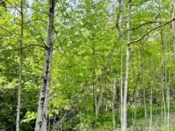 Lt1 MAPLE STREET, Ixonia, WI 53036