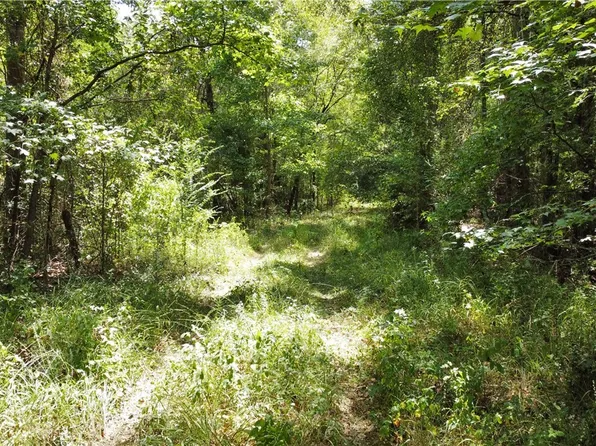 0 Highway 43 N, Linden, AL 36748