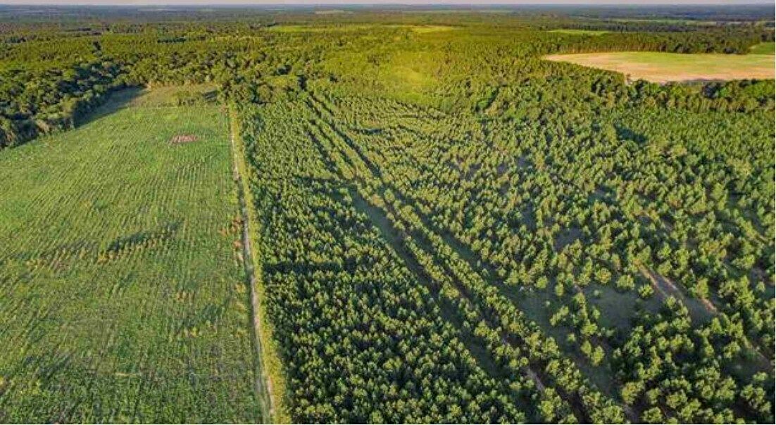 0 Silver Creek Rd LOT 10, Hawkinsville, GA 31036 MLS 10188939 Zillow