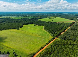 266/AC Loven Mill Rd, Richland, GA 31825