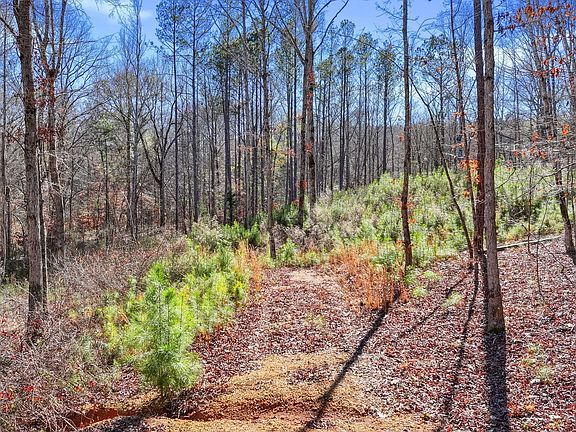 5th image of 2613 Sewell Rd