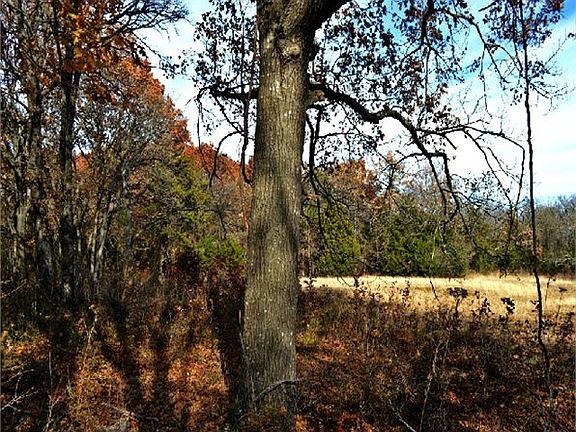 4th image of 1232 County Road 4020