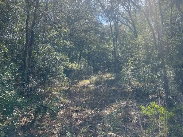 71 Street, Bronson, FL 32621