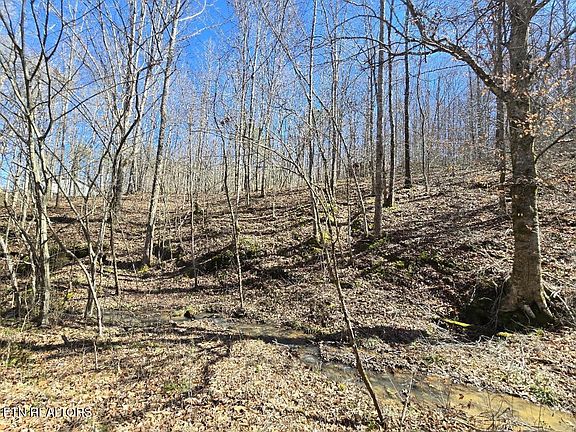 5th image of 0 Straight Fork Rd