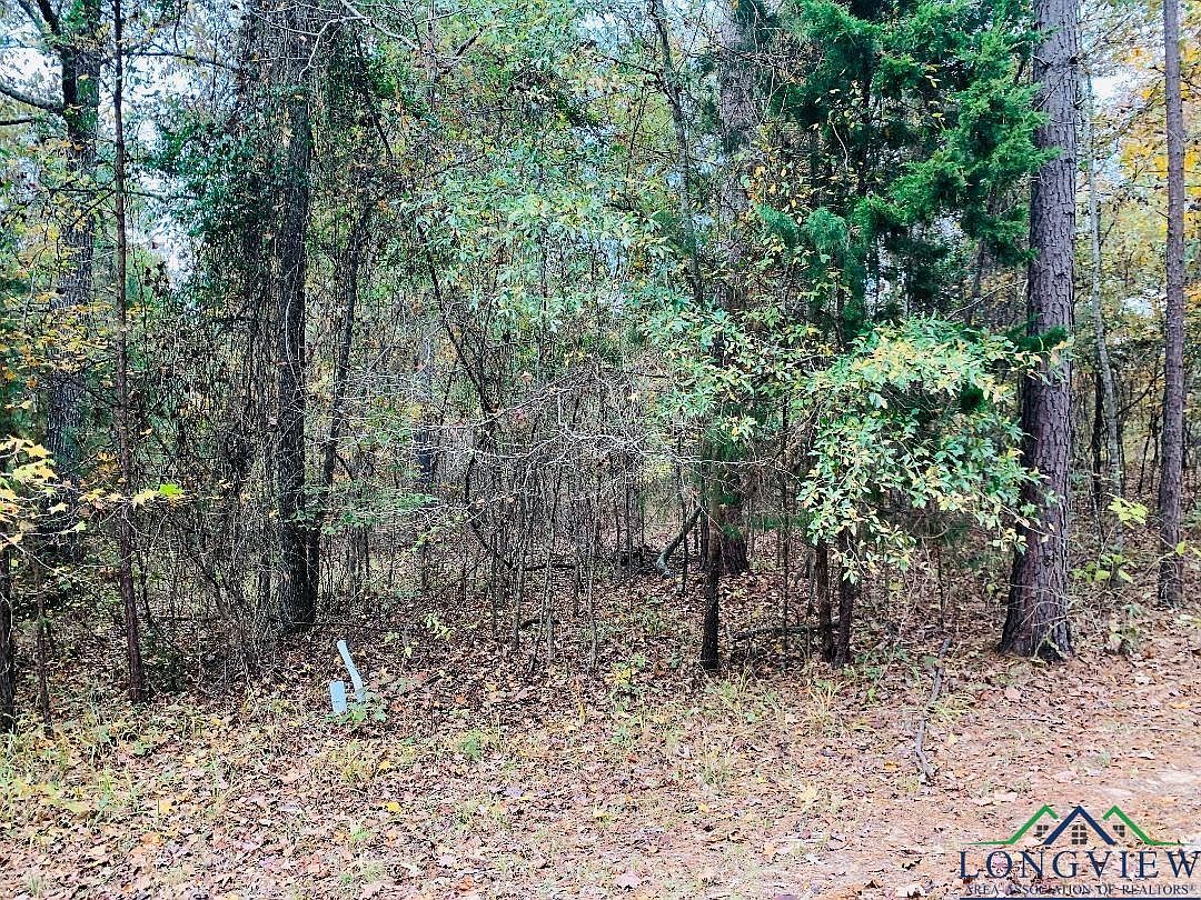 Ravenwood Loop, Avinger, TX 75630 MLS 20221014 Zillow