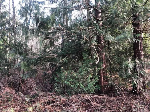 Tyee Dr, Pt Roberts, WA 98281